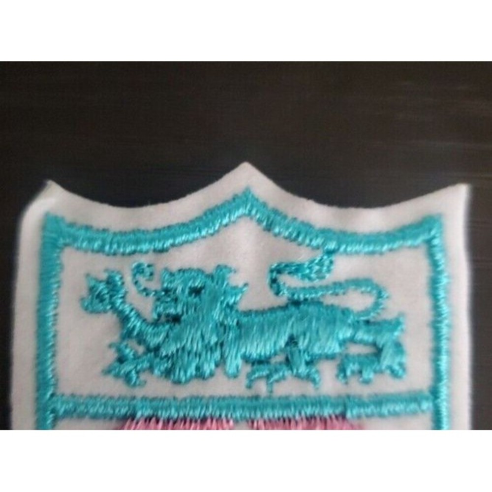 Coat of Arms Patch with Lion and Stripes Light Blue and Pink 2 Inch x 2.5 Inch - Picture 2 of 2